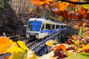 Treno del Foliage - Ferrovia Vigezzina-Centovalli