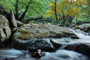 Parco Val Grande - Bocchetta di Terza ph. Claudio Venturini Delsolaro