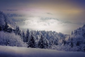 Inverno in Valle Vigezzo - ph. Matteo Moro