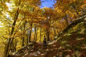 Escursioni d'autunno - Foliage in Valle Vigezzo - ph. Marco Benedetto Cerini