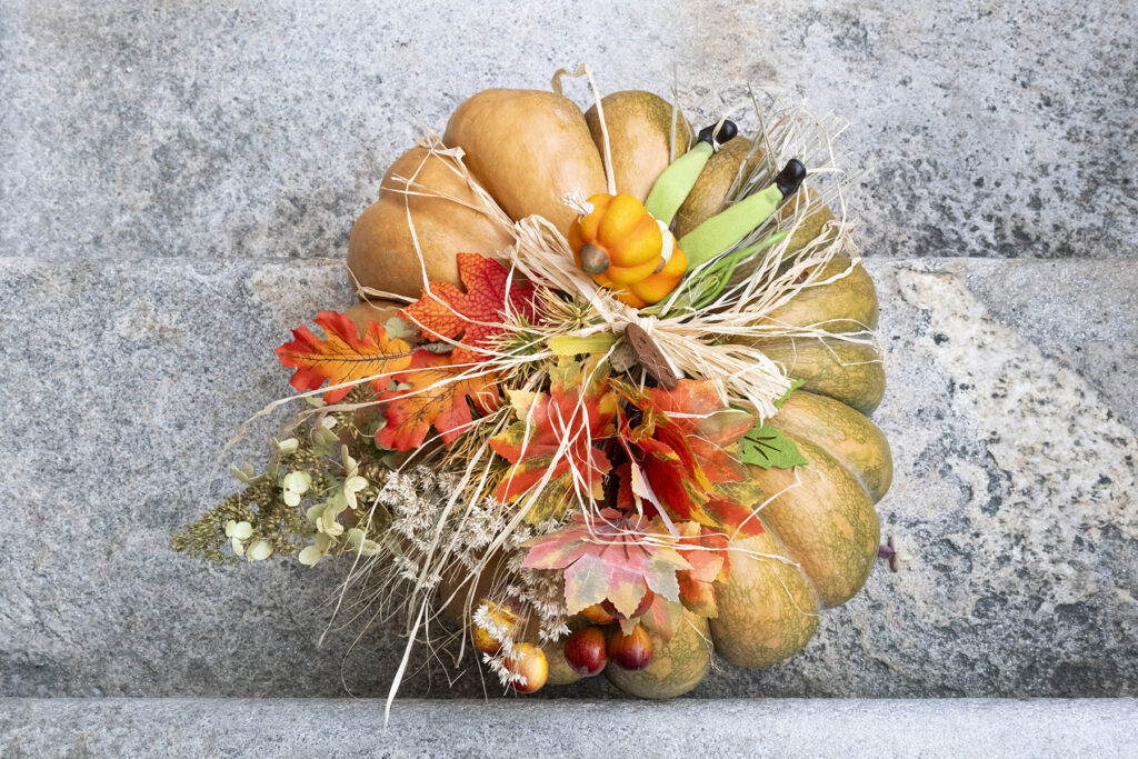 Fuori di Zucca - Santa Maria Maggiore (VB) - ph. Susy Mezzanotte